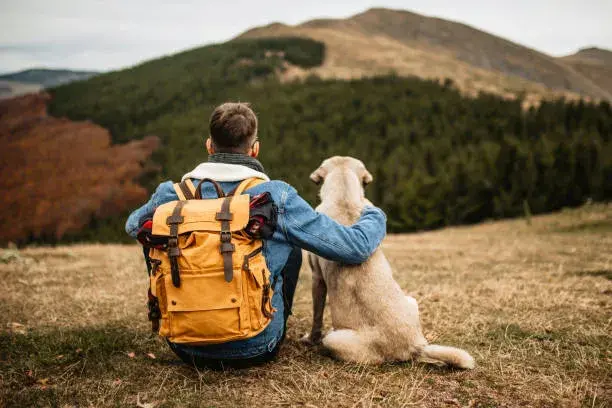 Travel Backpack
